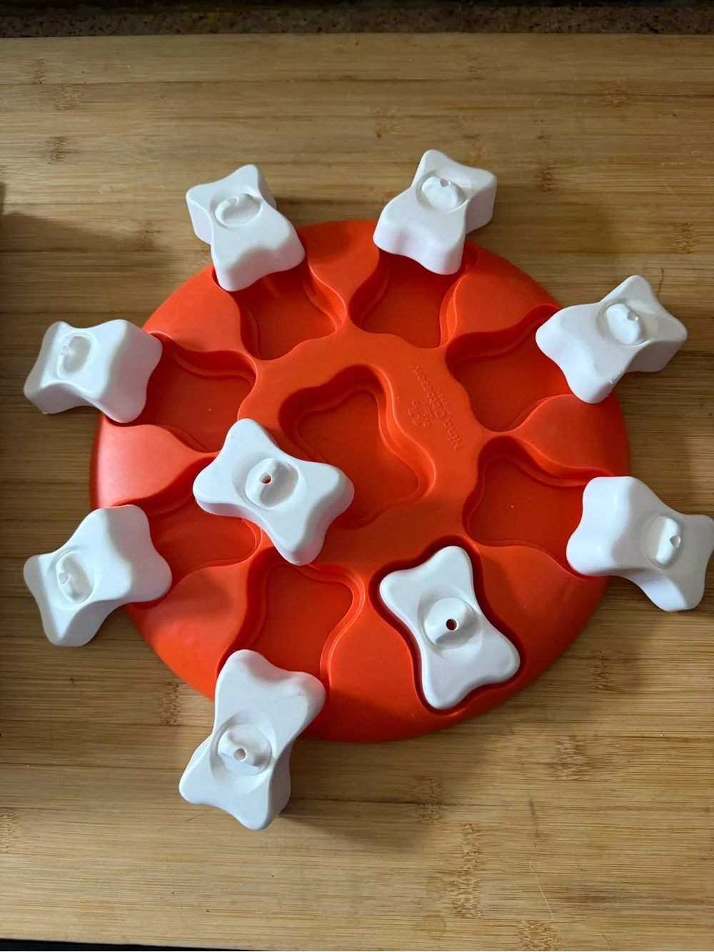 Outward Hound Nina Ottosson Dog Smart Puzzle Interactive Slow Feeder